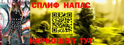 мдпв Краснознаменск