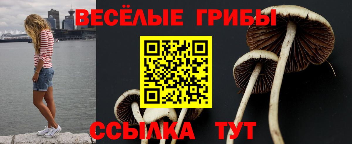 Псилоцибиновые грибы GOLDEN TEACHER  Вход с VPN  Галлюциногенные грибы GOLDEN TEACHER  купить наркотик  Южноуральск 